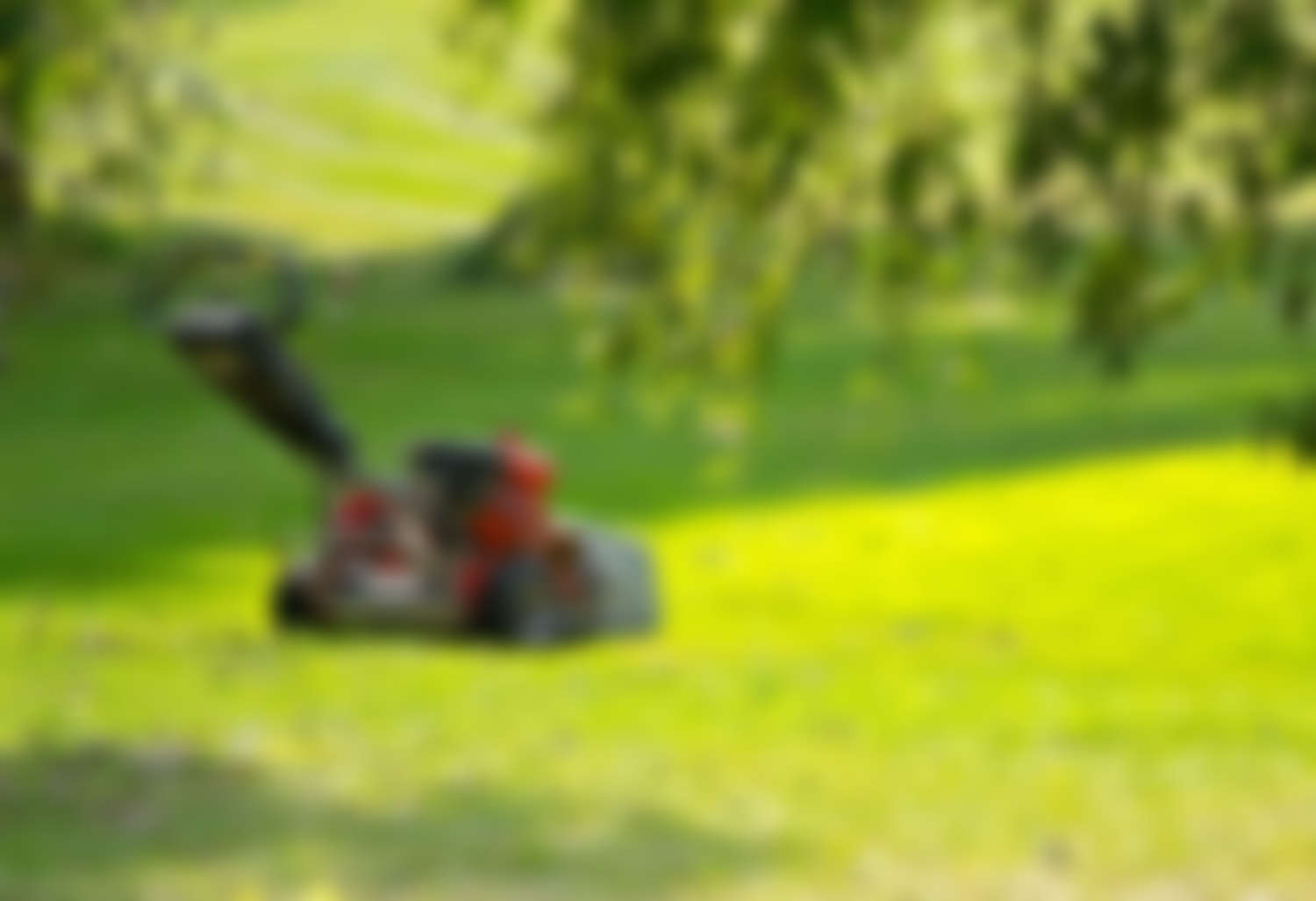 Lose Your Lawn (or part of it)